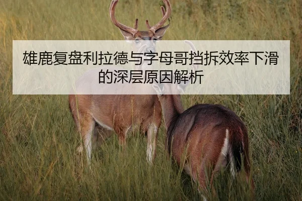 雄鹿复盘利拉德与字母哥挡拆效率下滑的深层原因解析